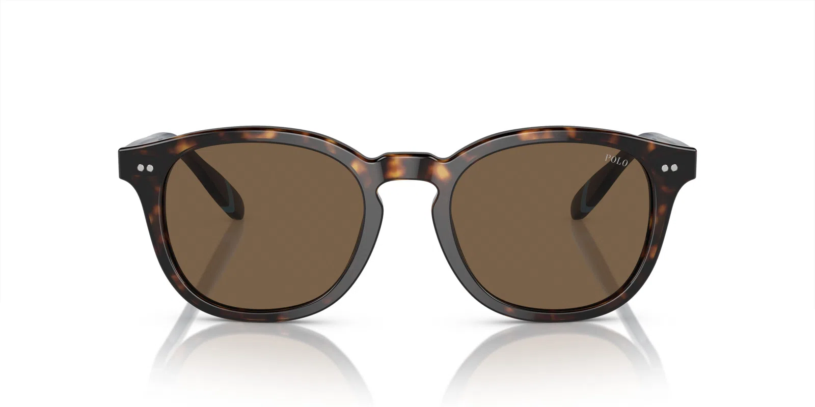 Polo 4206F Sunglasses - view 8